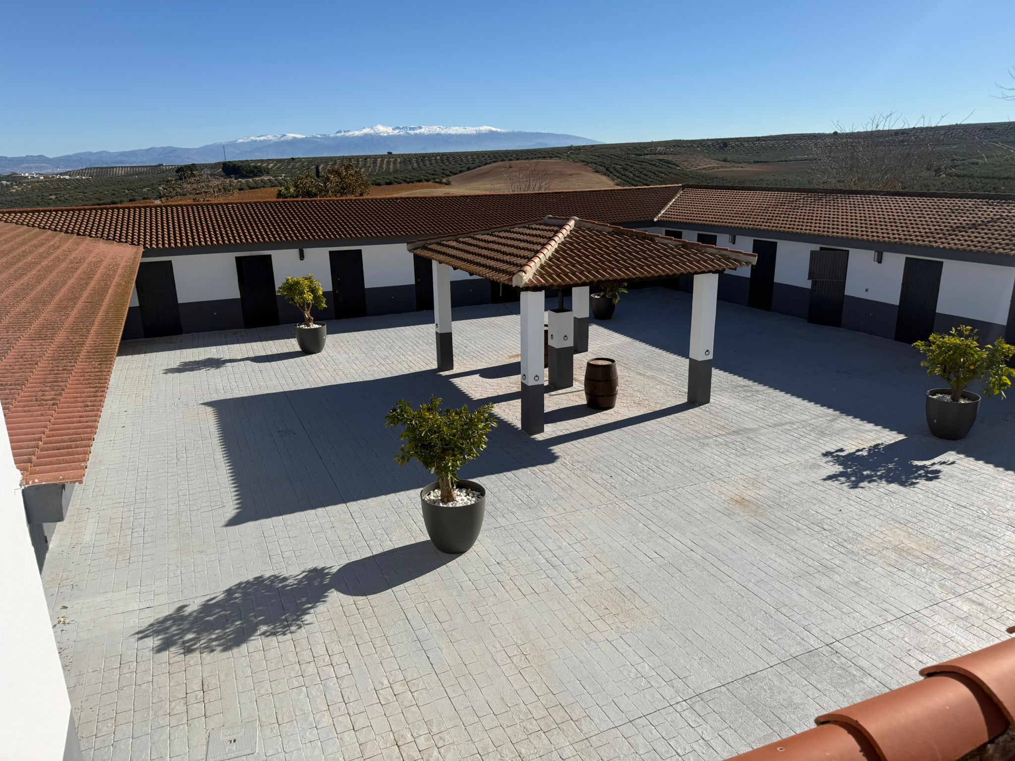 Patio de Hacienda Entre Olivos con vistas a Sierra Nevada